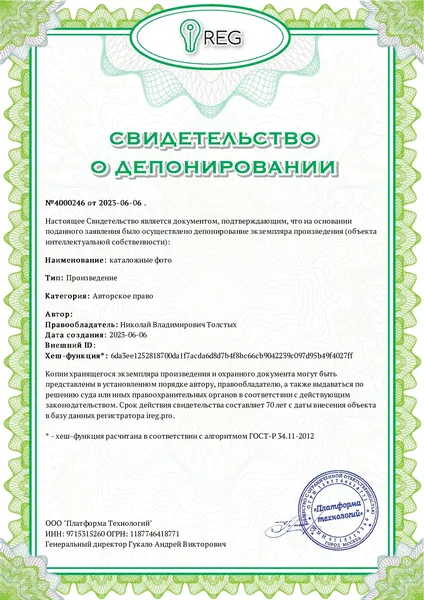 Авторское право на фотоизображения